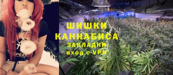 молекула духа Надым