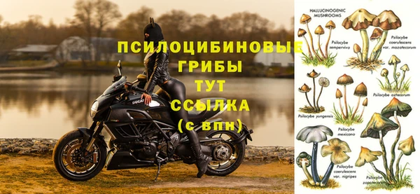 молекула духа Надым
