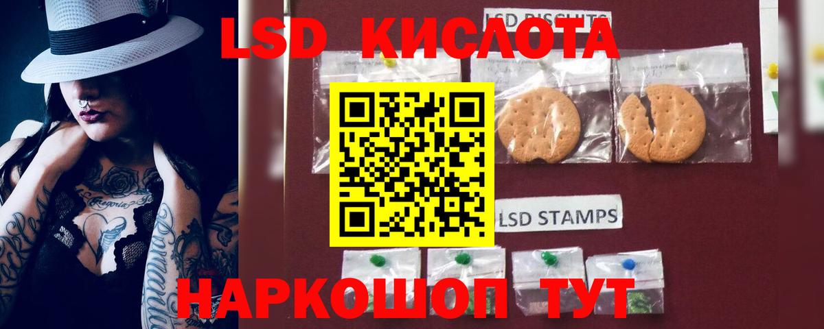 Бошки Шишки Тавда